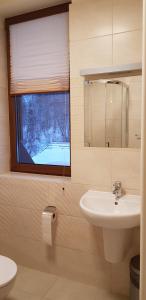 卢托维斯卡Centrum Promocji Leśnictwa w Mucznem的一间带水槽和窗户的浴室