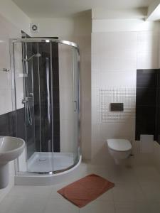 卢托维斯卡Centrum Promocji Leśnictwa w Mucznem的带淋浴、卫生间和盥洗盆的浴室