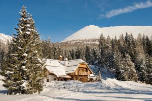 塔姆斯韦格Ludlalm am Prebersee的雪地中的小木屋,有圣诞树