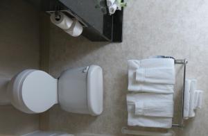 诺克斯维尔诺克斯维尔智选假日酒店的浴室提供卫生纸饮水机和毛巾