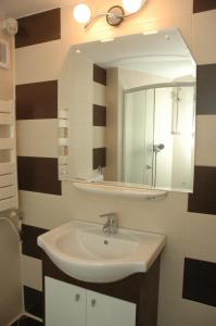 特尔戈维什泰登博维察酒店的一间带水槽和镜子的浴室