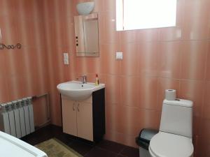 亚布卢尼齐亚Яблуневий сад的浴室配有白色卫生间和盥洗盆。