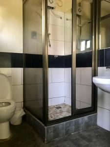 阿克拉奥曼耶山林小屋旅馆的带淋浴、卫生间和盥洗盆的浴室