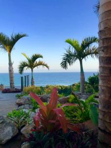 TrafalgarNakai Beach Homestay的棕榈树花园,大海背景