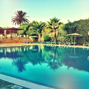 帕尔马海滩Hotel Vista Odin的一个带椅子和遮阳伞的游泳池以及棕榈树