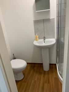 萨顿科尔菲尔德Sutton Park Lodge的白色的浴室设有卫生间和水槽。