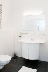 Frauental an der Lassnitz Frauentalerhof的白色的浴室设有水槽和卫生间。