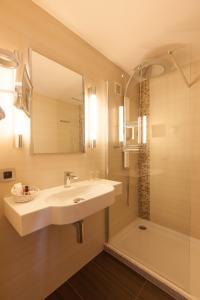 布兰肯贝赫Hotel Riant-Séjour by WP Hotels的一间带水槽和淋浴的浴室