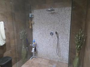 埃尔哥茨拉Lotus Guest House Malta的浴室设有淋浴,墙上配有电话