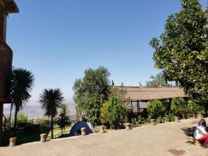 拉利贝拉Top Twelve Hotel - Lalibela的花园内种植了蓝色帐篷和树木