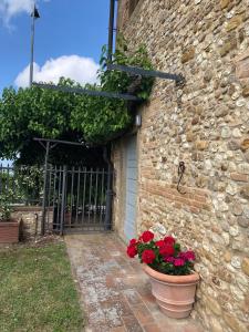 马西亚拉Casa di Romano, Al Tramonto的一座石头建筑,在门边有两盆花