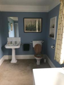 HartestWaldegrave farm的蓝色的浴室设有卫生间和水槽
