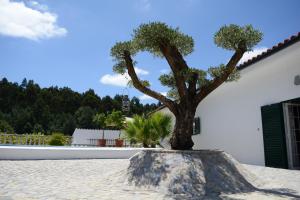 科英布拉Quinta da Granja Gardener's cottage的相册照片