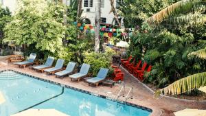 迈阿密海滩迈阿密写意酒店的一个带躺椅的游泳池和一个游泳池