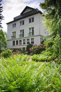 巴特欧波Haus Helvetia的前面有大量植物的白色建筑
