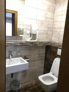 拉姆绍达赫斯坦Pension Savisalo的一间带水槽、卫生间和镜子的浴室