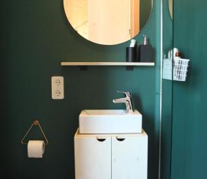 蒂尔堡ROOTS Tiny House的浴室设有水槽和绿色墙壁上的镜子