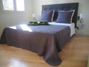 普罗旺斯艾克斯APPART AIX MAZARIN的一间卧室配有一张带蓝色枕头的大床