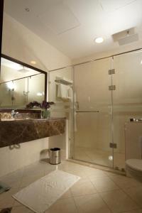 阿可贺巴扎拉大洲酒店的一间带玻璃淋浴和卫生间的浴室