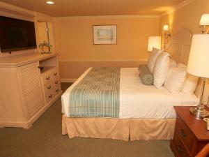 海恩尼斯Anchor In Hotel - Hyannis, MA的配有一张床和一台平面电视的酒店客房