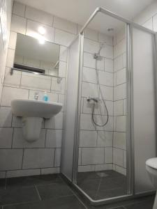 比克Trenta Apartman Bükfürdő的带淋浴和盥洗盆的浴室