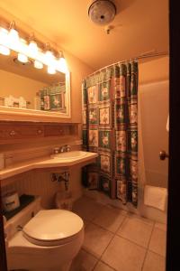 提顿村阿尔彭霍夫酒店的一间带卫生间和淋浴帘的浴室
