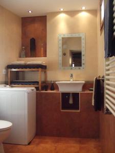 CampomanesCasa Fuente el vache的一间带水槽、卫生间和镜子的浴室