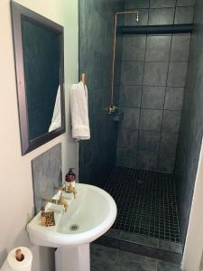 乌平通Country Lodge的一间带水槽和淋浴的浴室