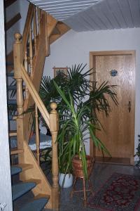 沃尔肯施泰因Ferienwohnung Neubert的木楼梯,在房间里栽有盆子植物