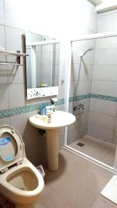 富里里山旅棧民宿 Li Shan Homestay的浴室配有卫生间、盥洗盆和淋浴。