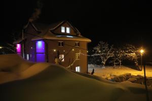 Crni VrhBAJKA的夜晚在雪中点亮的房子