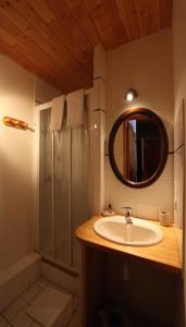Villar-dʼArène米娜洛基住宿加早餐旅馆的一间带水槽、淋浴和镜子的浴室
