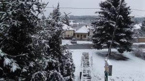 博加奇艾斯爱特瑞姆阿拉拜斯特姆旅馆的一条有两棵树和房子的雪覆盖的街道