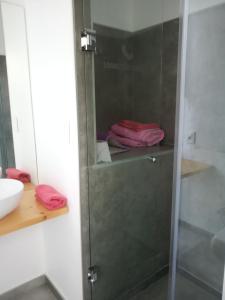 拉佩德雷拉Agua y Manto的浴室设有玻璃淋浴间,配有粉红色毛巾