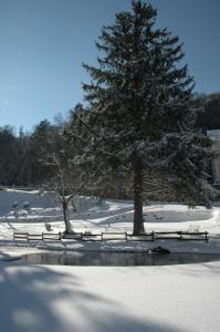 吕兹-圣索沃尔Appart Résidence Le Chili - Lit fait - Parc - Quartier thermal的一座有雪覆盖的公园,里面有一棵树和栅栏