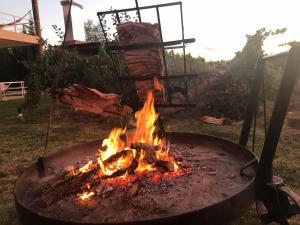 圣拉斐尔Chaglasian Wine & Suites的火坑,火坑在院子里