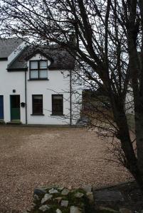 邓法纳希Anchor, Dunfanaghy的前面有一棵树的白色房子