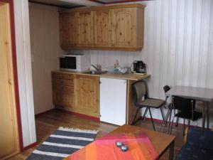 Skare赛尔伊斯塔德小屋酒店的一间带水槽和微波炉的小厨房