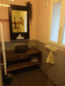Civray-de-Tourainegîte papillon 4的一间带水槽和镜子的浴室