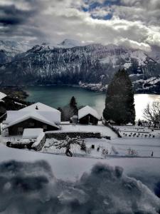 贝阿滕贝格斯特内酒店的一座带雪盖的度假屋,拥有湖泊和山脉