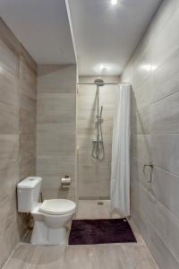 斯利马Chalet Apartments的一间带卫生间和淋浴的浴室