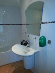 Het Kalf绅士房咖啡酒吧公寓的浴室配有盥洗盆、镜子和浴缸