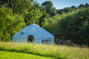 兰达西尔Ceridwen Glamping, double decker bus and Yurts的相册照片