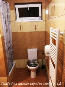 波达雅斯卡Bungalovy Classic的一间带卫生间和窗户的小浴室