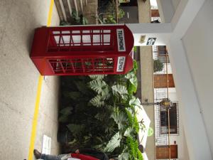 利马嘉米娜旅舍的花园顶部景色,有一个红色购物篮