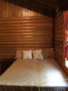 Peña BlancaHospedaje en el Lago的小木屋内的一张床位,上面有两个枕头