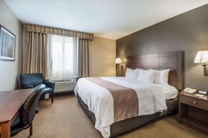 Newberry品质酒店及套房的酒店客房设有一张大床和一张书桌。