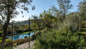 基安蒂格雷夫波尔多尼别墅的花园中种有树木和灌木的游泳池