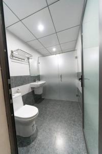 峰牙Central Backpackers Hostel - Phong Nha的一间带卫生间和水槽的浴室