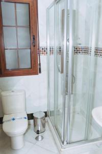 圭哈尔谢拉Vivienda Turistica Arabeluj的带淋浴、卫生间和盥洗盆的浴室